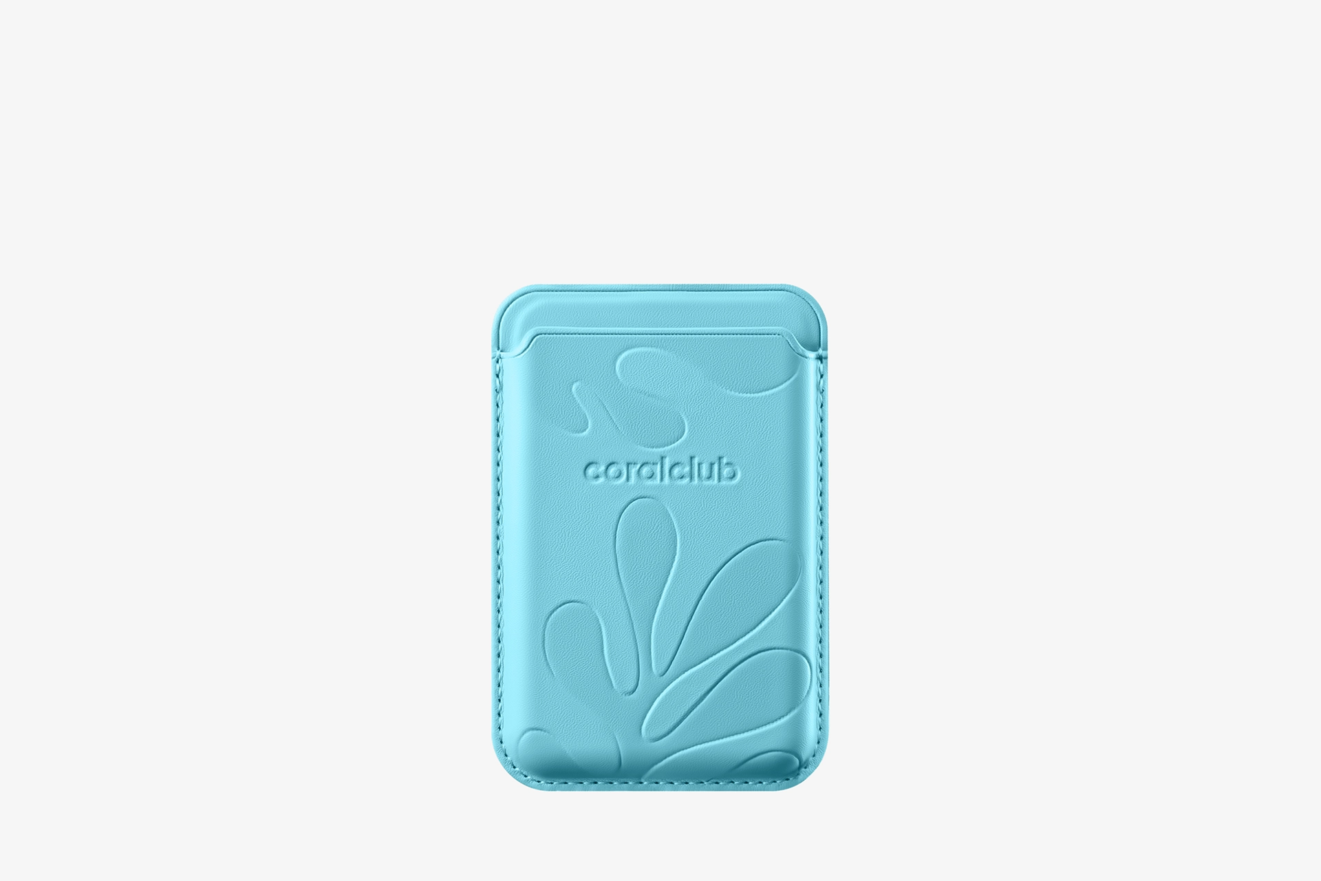 Magnitik kardholder, ko'k